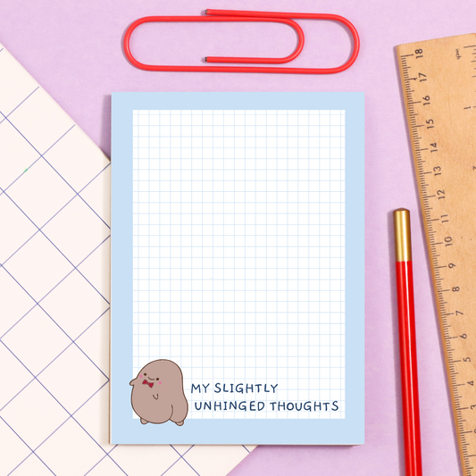 A6 unhinged thoughts note pad