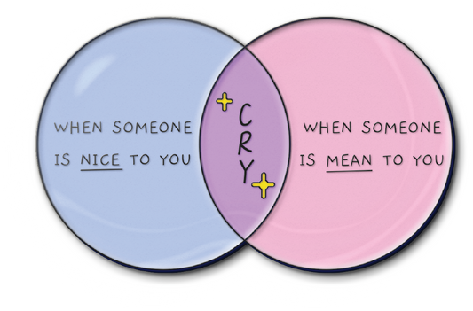 venn diagram enamel pin funny